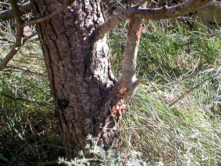 PB070101